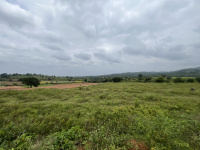  Agricultural Land for Sale in NH 44, ChikBallapur
