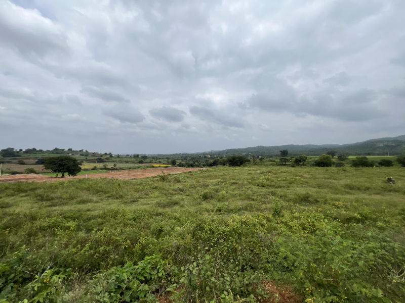 22 Acre Agricultural/Farm Land for Sale in NH 44, ChikBallapur