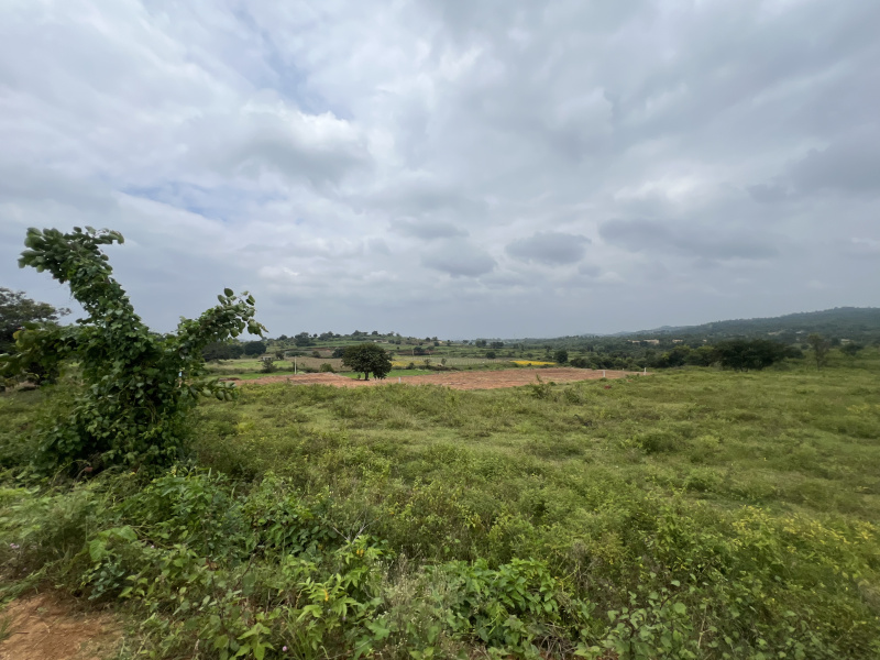 22 Acre Agricultural/Farm Land for Sale in NH 44, ChikBallapur