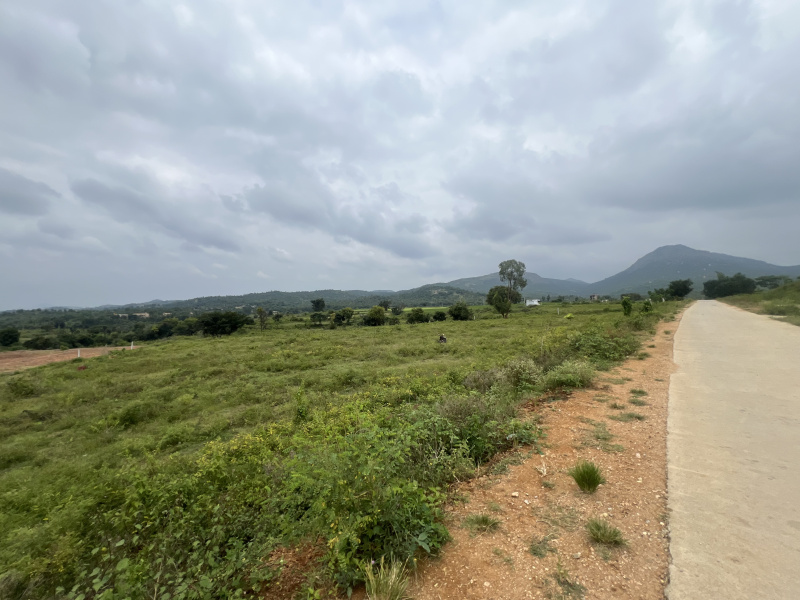 22 Acre Agricultural/Farm Land for Sale in NH 44, ChikBallapur