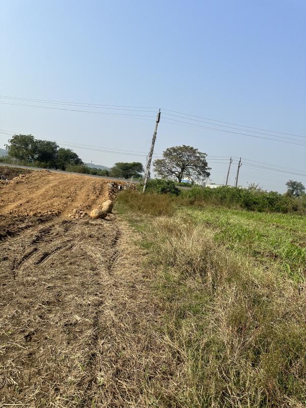  Agricultural Land 25 Bigha for Sale in Madhapar Chokdi, Rajkot