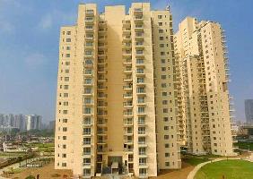 3 BHK Builder Floor for Sale in Noida Extension, Greater Noida