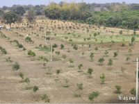 1 BHK Farm House for Sale in Shadnagar, Hyderabad