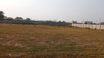  Residential Plot for Sale in Sector 85 Faridabad