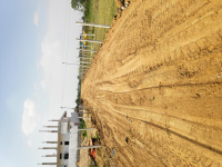  Agricultural Land for Sale in Yeldurthy, Medak