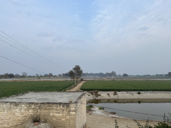  Agricultural Land for Sale in Malout, Muktsar