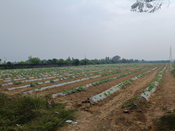  Agricultural Land for Sale in Uthiramerur, Kanchipuram