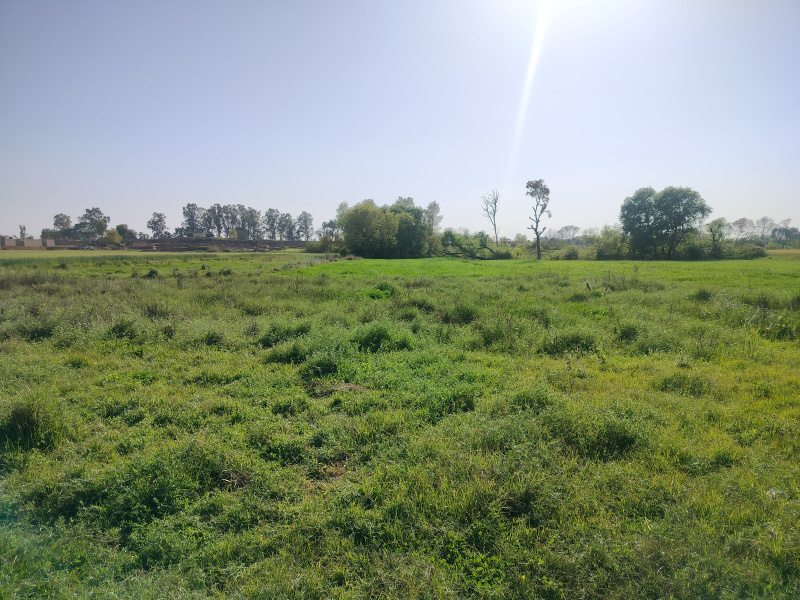  100 Acre Industrial Land for Sale in SIDCO Industries, Kathua