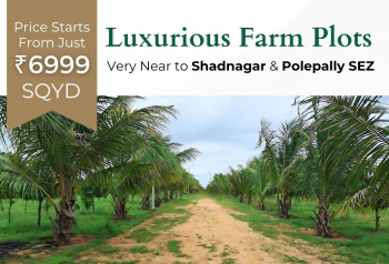  Agricultural Land for Sale in Balanagar, Mahbubnagar