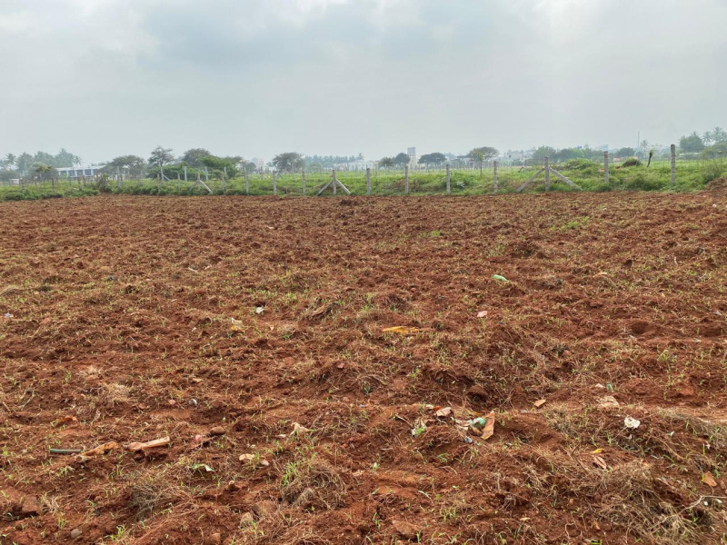  Residential Plot 38 Cent for Sale in Veerapandi, Tirupur