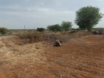  Agricultural Land for Sale in Manachanallur, Tiruchirappalli