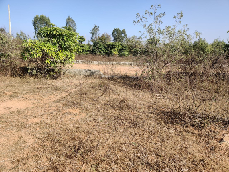  Residential Plot 150 Sq. Yards for Sale in Bhongir, Hyderabad