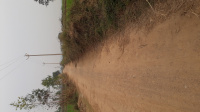  Agricultural Land for Sale in Naraingarh, Ambala