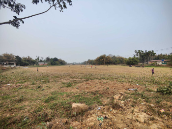  Agricultural Land for Sale in Bongara Rani Road, Guwahati
