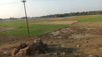 Residential Plot for Sale in Jhanjharpur, Madhubani