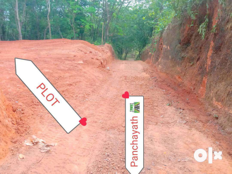  Residential Plot 10 Cent for Sale in Iritty, Kannur