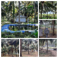  Agricultural Land for Sale in Vettaikaranpudur, Coimbatore