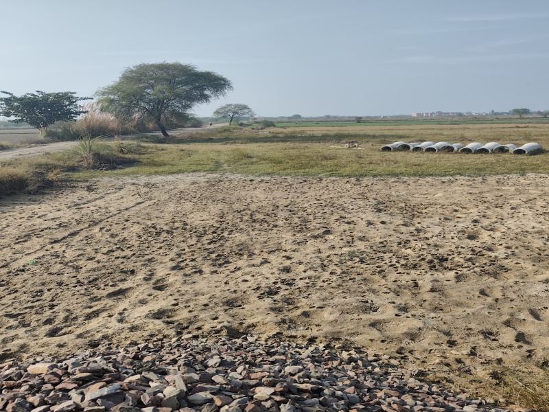  500 Sq. Yards Residential Plot for Sale in Barsana, Mathura
