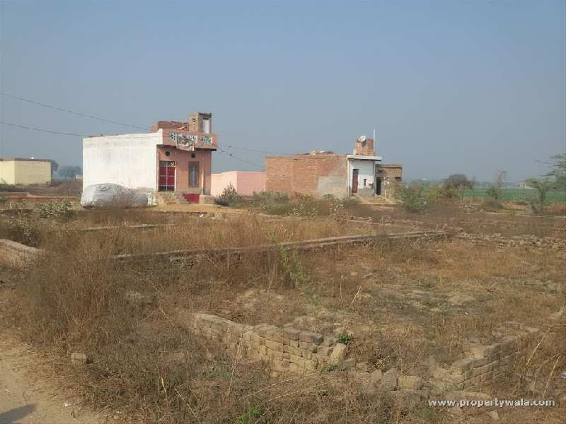  Residential Plot 300 Sq. Yards for Sale in Barsana, Mathura