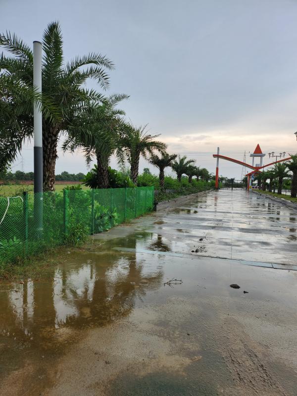  Residential Plot 900 Sq.ft. for Sale in Agra Road, Mathura