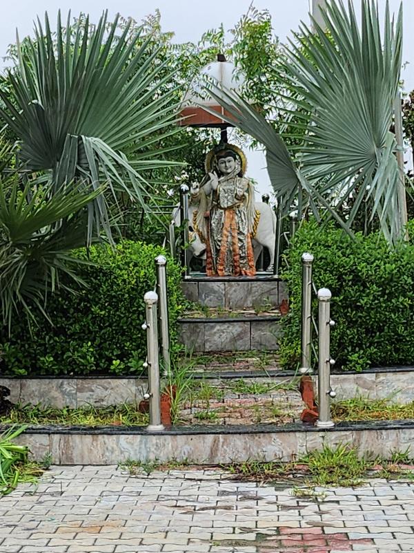  Residential Plot 1800 Sq.ft. for Sale in Chaumuhan, Mathura