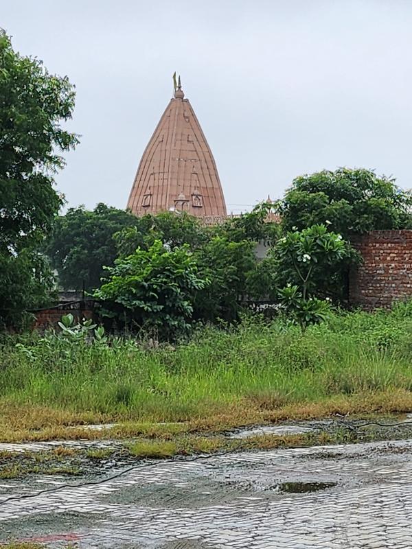  Residential Plot 1800 Sq.ft. for Sale in Chaumuhan, Mathura