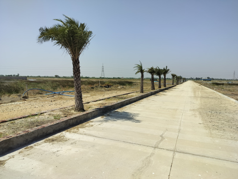  Residential Plot 648 Sq.ft. for Sale in Chaumuhan, Mathura