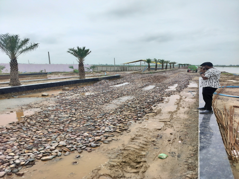  1350 Sq.ft. Residential Plot for Sale in Chhata, Mathura