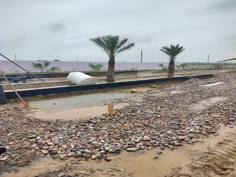  1350 Sq.ft. Residential Plot for Sale in Chhata, Mathura