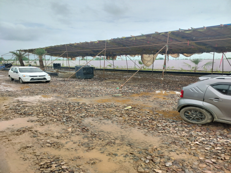  1350 Sq.ft. Residential Plot for Sale in Chhata, Mathura