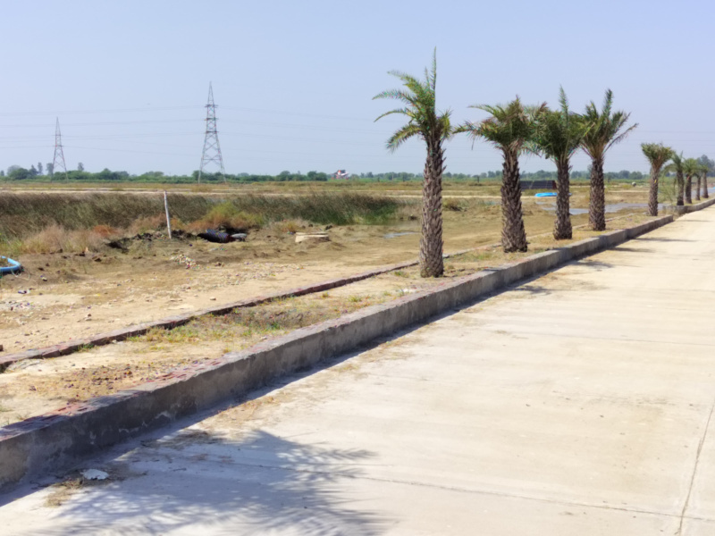  801 Sq.ft. Residential Plot for Sale in Jait, Vrindavan