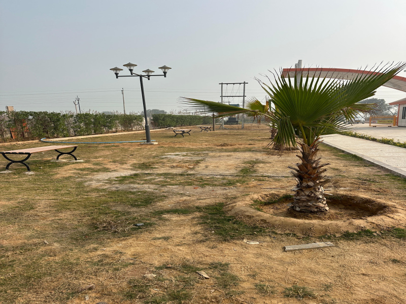  1125 Sq.ft. Residential Plot for Sale in Barsana, Mathura