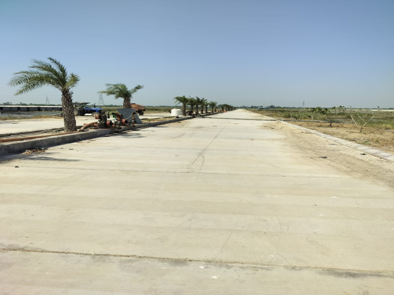 Barsana, Mathura photo 2