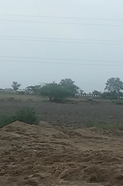  Residential Plot 204 Sq. Yards for Sale in Dholera, Ahmedabad