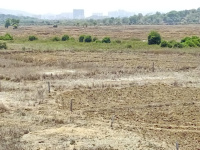  Residential Plot for Sale in Dive Anjur, Bhiwandi, Thane