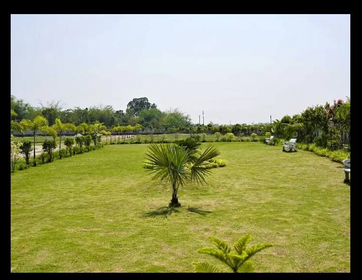  Residential Plot 2160 Sq.ft. for Sale in Babupara, Siliguri