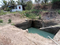  Agricultural Land for Sale in Sanarpatti, Dindigul