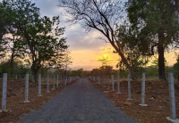  Commercial Land for Sale in Pali, Raigad