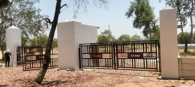  1000 Sq.ft. Residential Plot for Sale in Sultanpur Road, Lucknow