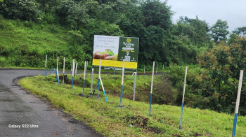  Residential Plot for Sale in Panshet, Pune