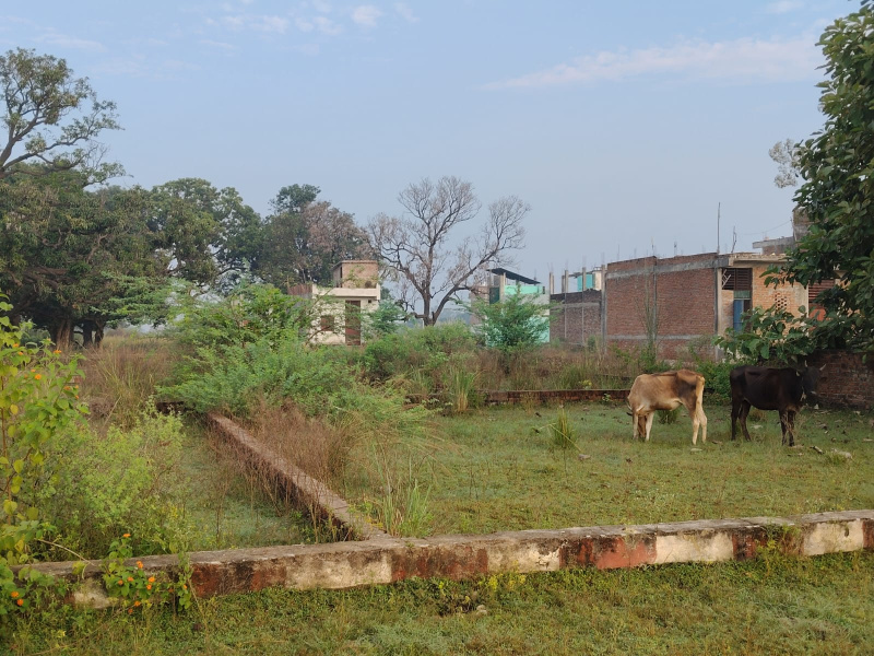  Residential Plot 150 Sq. Yards for Sale in Yamuna Expressway, Greater Noida