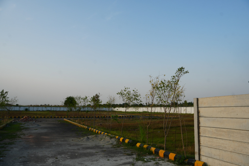  Residential Plot 100 Sq. Yards for Sale in Solra, Palwal