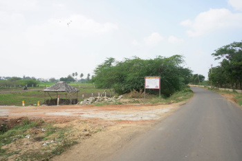  Residential Plot for Sale in Kulamangalam, Madurai