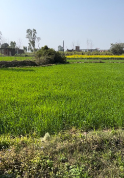  Agricultural Land for Sale in Rampur Maniharan, Saharanpur