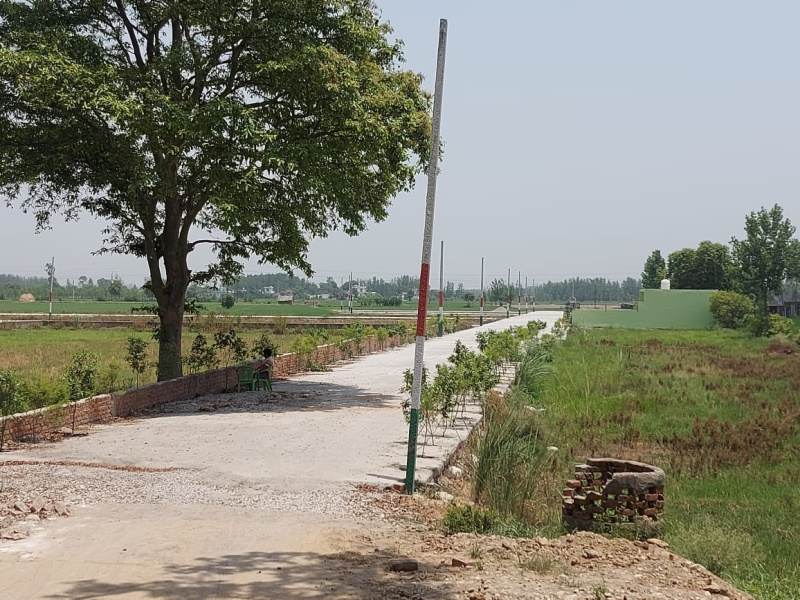 Ramnagar Road, Kashipur photo 2