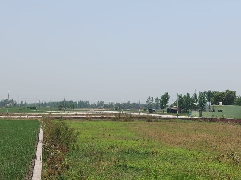 Ramnagar Road, Kashipur photo 3