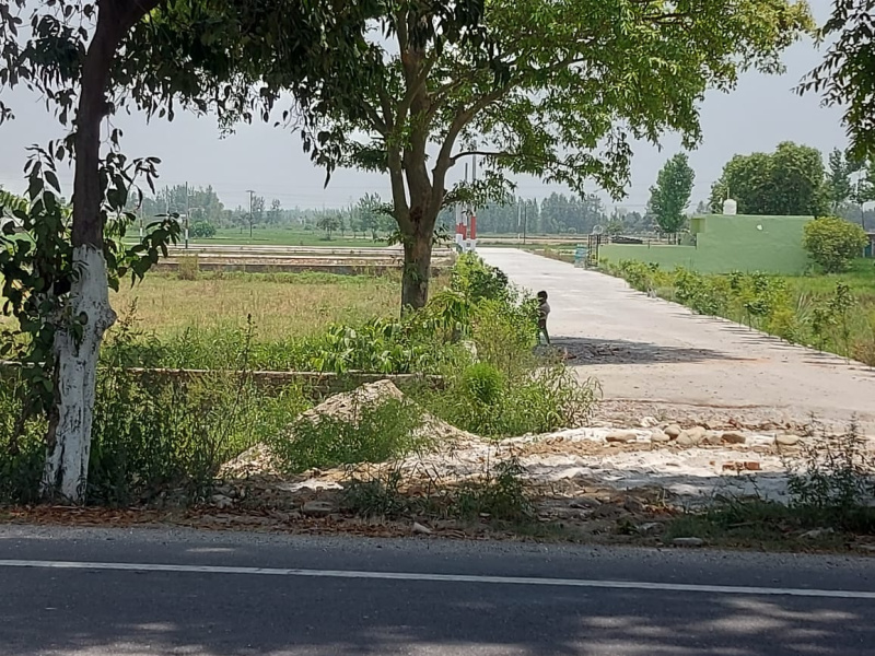 Ramnagar Road, Kashipur photo 4