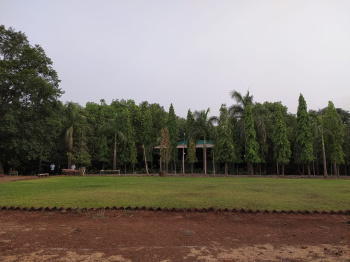  Agricultural Land for Sale in Khalapur, Raigad