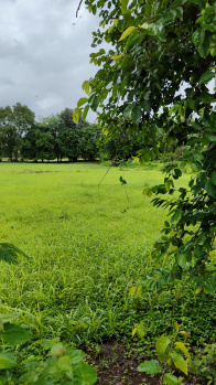  Agricultural Land for Sale in Ambernath, Thane