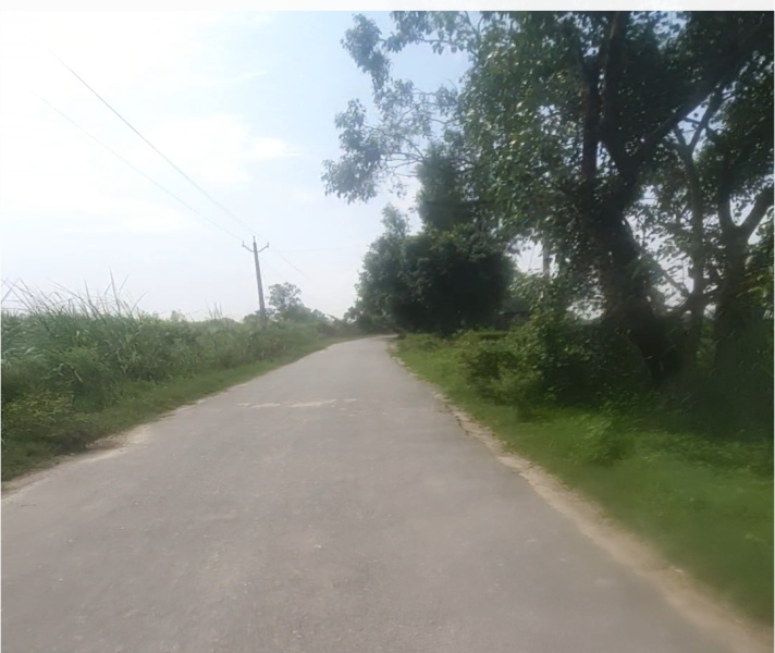  Agricultural Land 14 Bigha for Sale in Garhmukteshwar, Hapur